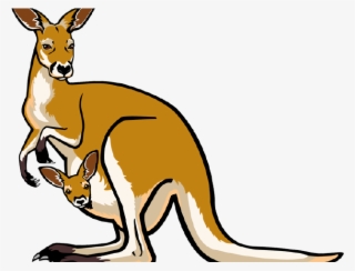 Kangaroo Clipart Red Kangaroo - Clip Art Kangaroo Png #9641351