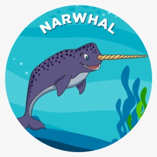 Narwhal - Shark #9641409