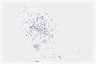 Download Light Png Images Background - Bird Migration #9643092