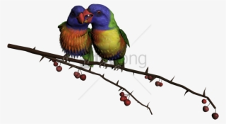 Free Png Beautiful Flying Birds Png Image With Transparent - Beautiful Flying Birds Png #9643244