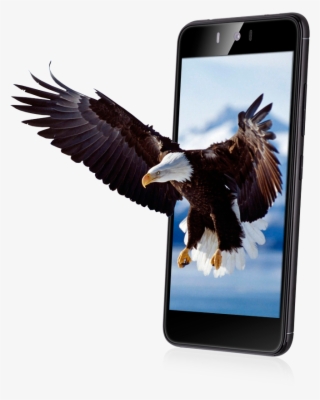 High Quality Ips Full Lamination Matrix Ensures Great #9643251