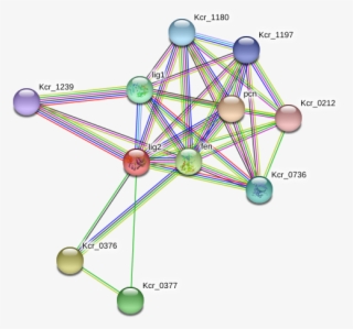 Diagram #9643420