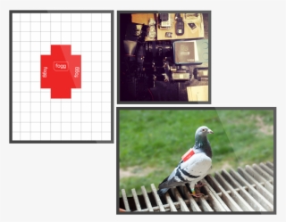 Foggtweetpics - Magpie #9644791