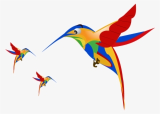 Google Hummingbird Free Image Thoughtshift - Hummingbird #9644967