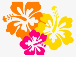 Flowers Borders Clipart Hawaiian Flower - Flowers Of Hawaii Png #9645796