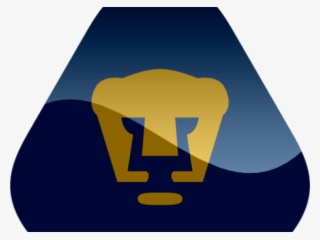 Kits Del Los Pumas #9646420