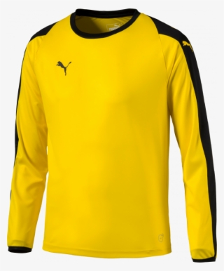 Puma Liga Gk Shirt - Long-sleeved T-shirt #9646480