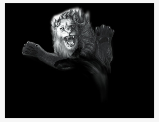 特 步 运动 服 #9646799