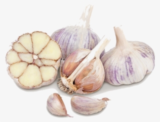 Garlic Png - Garlic #9647476