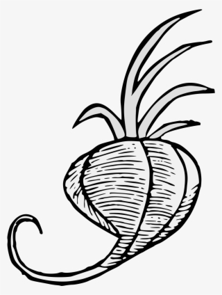 Details, Png - Illustration #9647519