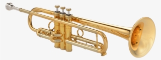 Winner Of The German Musical Instrument Award - Brass Instrument #9647647