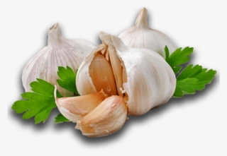Garlic - Garlic China Png #9647842