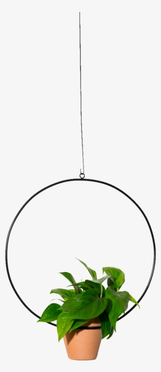 Hanging Circle Planter 18" #9648242