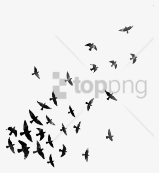 Free Png Download Hd Png Effects Png Images Background - Effect Png For Picsart #9648371