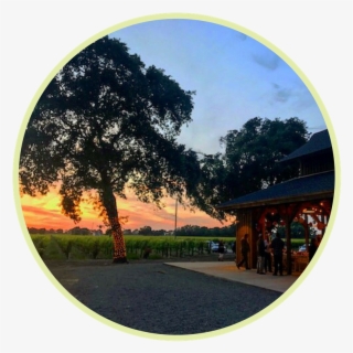 Evening Event Barn Experience - Tree #9648634