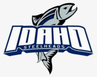 Cobweb - Idaho Steelheads Logo Png #9649857 Cobweb - Idaho Steelheads Logo Png #9649857