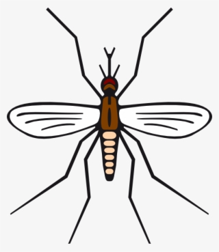 Clip Art Transparent Stock In Brown Color Clip Art - Simple Easy Mosquito Drawing #9651334