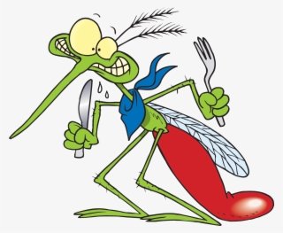 2567 X 1649 1 - Funny Pics Of Mosquitoes #9651413