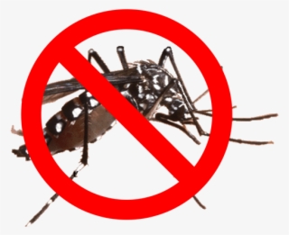 Mosquito Barrier Spray - Aedes Aegypti #9651685