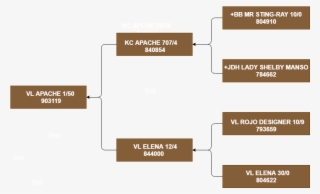 Awards - Diagram #9654237