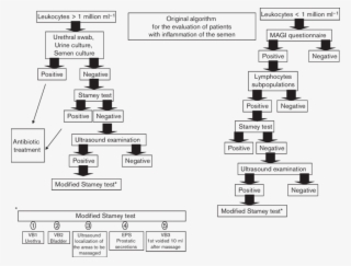 Original Algorithm For The Evaluation Of Patients With - Diagram #9654985 Original Algorithm For The Evaluation Of Patients With - Diagram #9654985