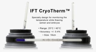 Thermometer For Semen Thaw - Home Appliance #9655258