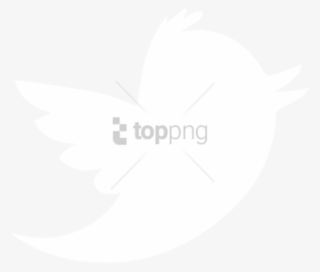 Free Png French Flag 1815 Png Image With Transparent - Twitter White Logo Png #9656193
