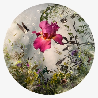Arcadia, C Print, Plexi Face Mounted On Aluminum Panel, - Saatchiart #9659575 Arcadia, C Print, Plexi Face Mounted On Aluminum Panel, - Saatchiart #9659575