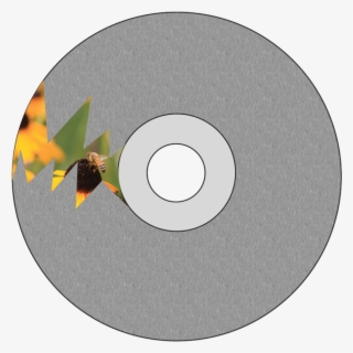 Movie Vs - Reality - Dvd Disc #9659916