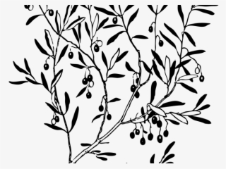 Reef Clipart Olive Branch - Navy Olive Branch Clip Art #9659918