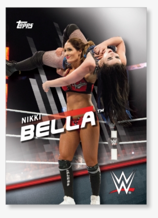 Nikki Bella - Professional Wrestling #9660163