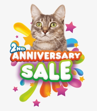 Enjoy 10% Off For Cat Hotel & Grooming Service - Kids Events #9660846