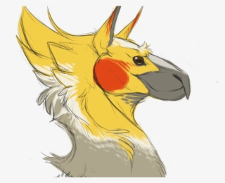 Cockatiel Clipart Chocobo - Cockatiels Drawings #9662871