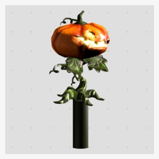 Quick Overview - Pumpkin #9663819