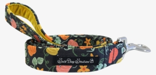 Pumpkin Patch Lead V=1535478408 - Belt #9664092