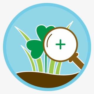 Profile Provides On-site Consultation To Assure The #9665944