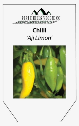 Chilli 'aji Limon' - Aji Limo #9666753