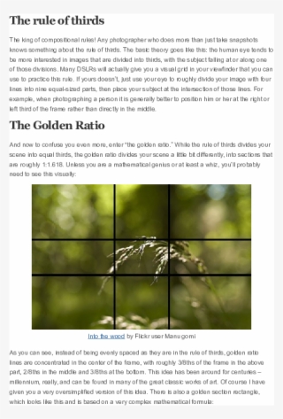 Docx - Tree #9668301