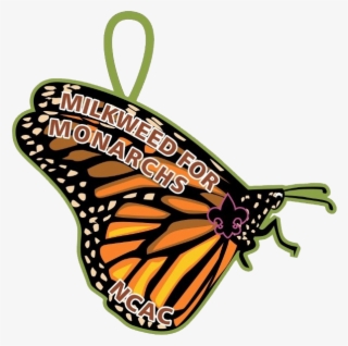 Scouts Take Part In Monarch Butterfly Conservation - Monarch Butterfly #9668969