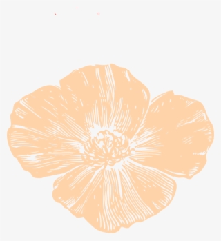 Beige Poppy Svg Clip Arts 546 X 596 Px #9669083