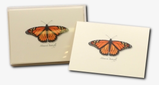 Shopping Cart -  -  - Monarch Butterfly #9669414