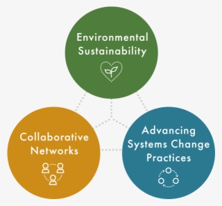 With The Intent To Contribute To A More Equitable, - Circle #9669805