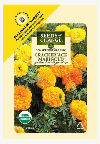 Organic Crackerjack Marigold Flower Seeds - Seeds Of Change #9671369