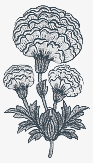 Our Story - Sketch #9671408