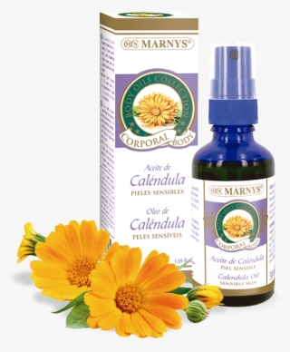 Ap213 - Calendula Oil - Aceite De Calendula #9671675