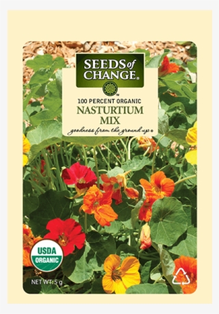 Nutrition - Organic #9671919