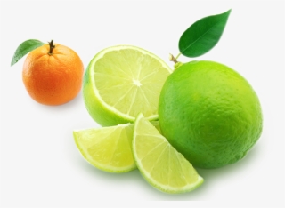 Dubai Web Design Services - Persian Lime #9672311