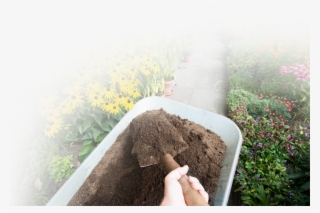 Istock-911970388 - Field #9672358