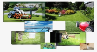 Professional Lawn And Garden Care Provider Brisbane - Yard Maintenance #9672493