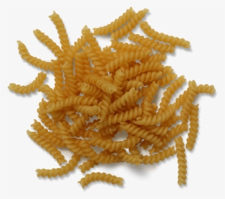 Girandole Pasta - Dried Sunflower Petals #9676409
